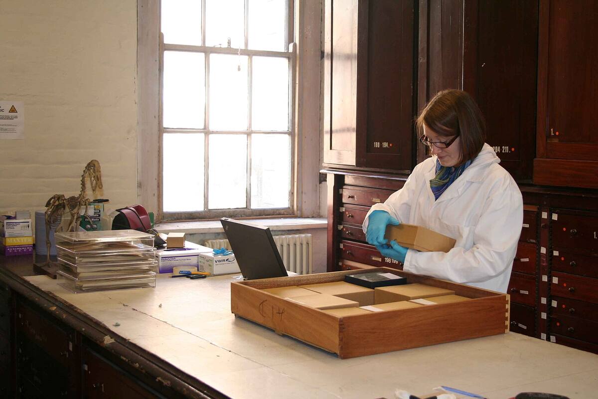 back-of-house desk work, gloves, laptop, drawers